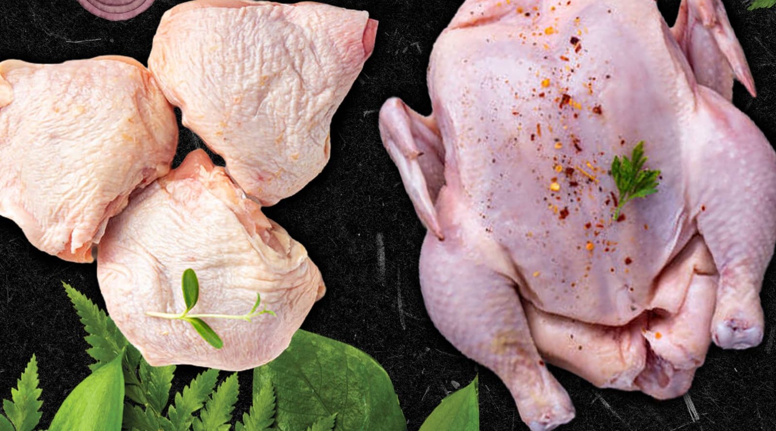 Chicken & Poultry